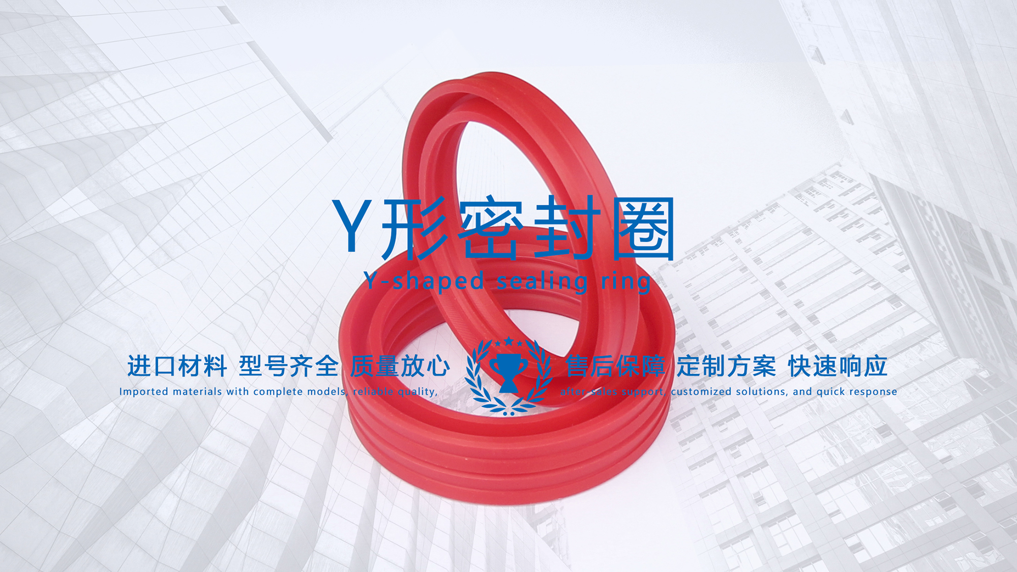 y型密封圈（又Y形密封圈，Y形圈，Y型圖或唇形密封圈，密封件油封膜片） (3)