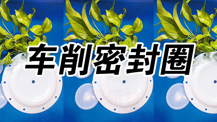 4車削密封圈密封件油封產品大全 副本祁晟